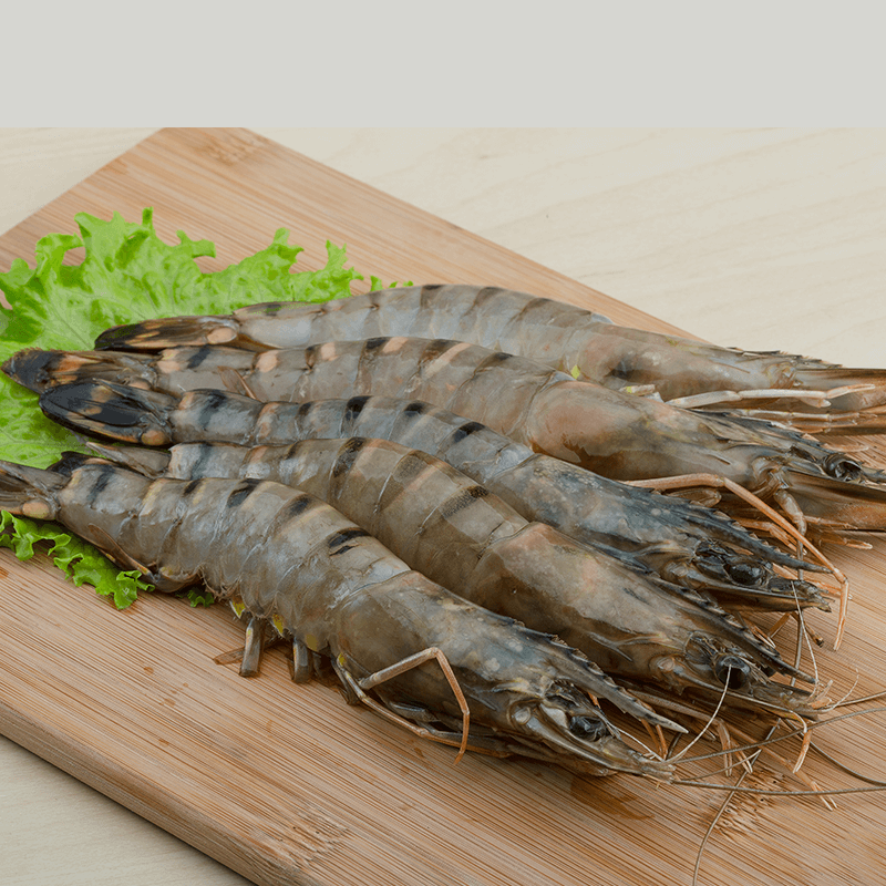 Fish King Prawns