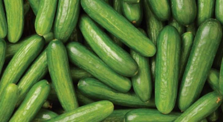 Jordanian Cucumbers