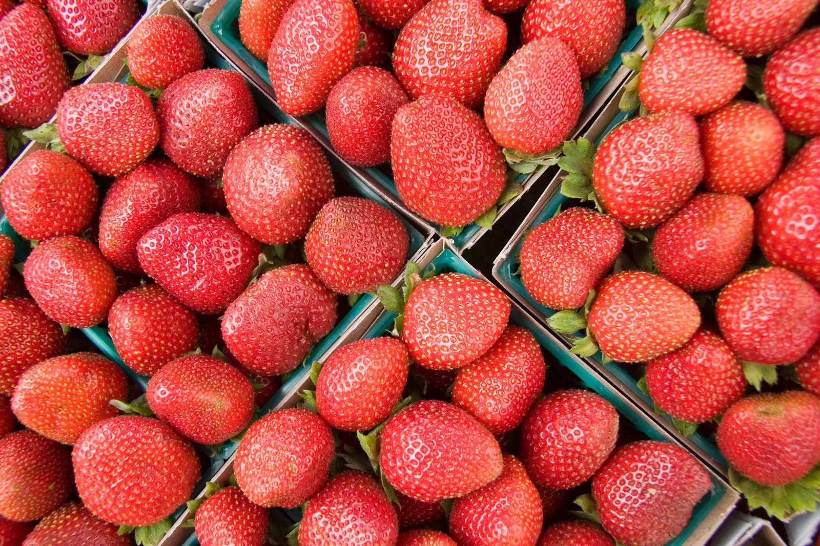 American Strawberries